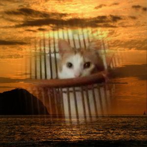 Meet your Posher, Karman